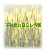 �s���Y���𗧂����