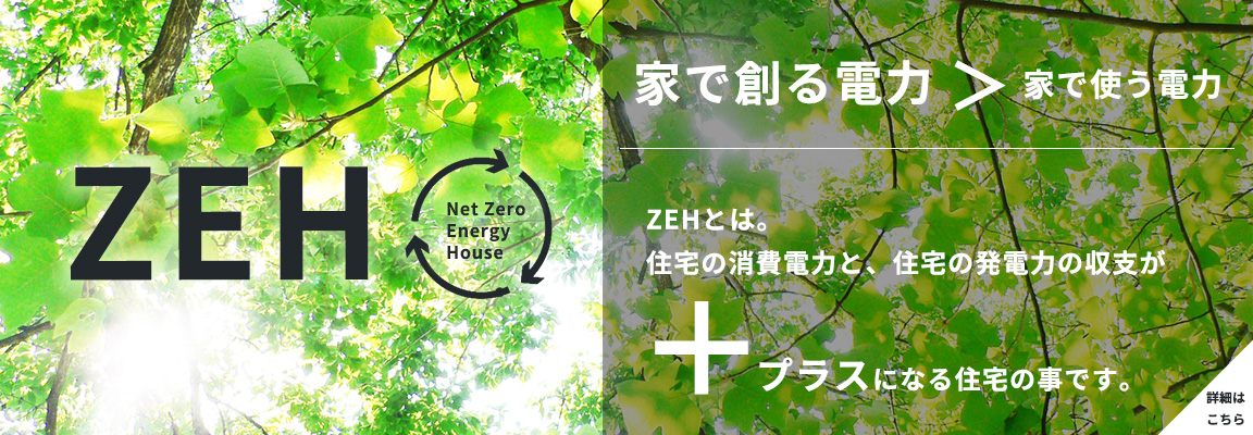 netZeroEnegryHouse